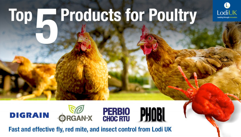 Top 5 Lodi Products For Use In Poultry Housing