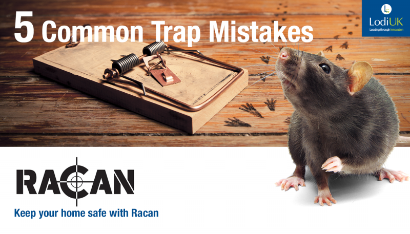 5 Mouse Trap Mistakes You Might Be Making