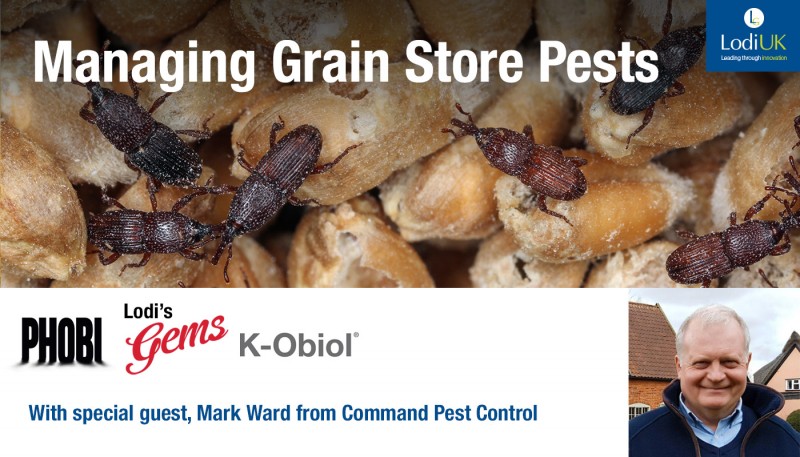 Managing Grain Store Pests with Mark Ward, Command Pest Control