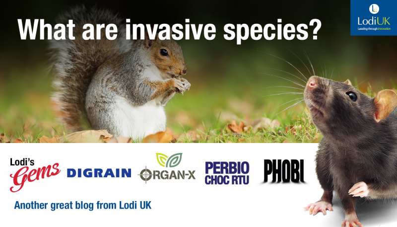 What Are Invasive Species?