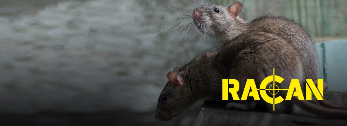 Racan Rodent Control