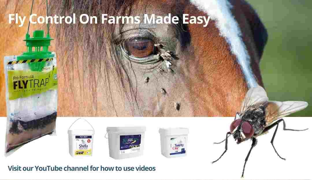 https://www.lodi-uk.com/wx-uploads/img/large/Fly-control-on-farm-blog-header.jpg