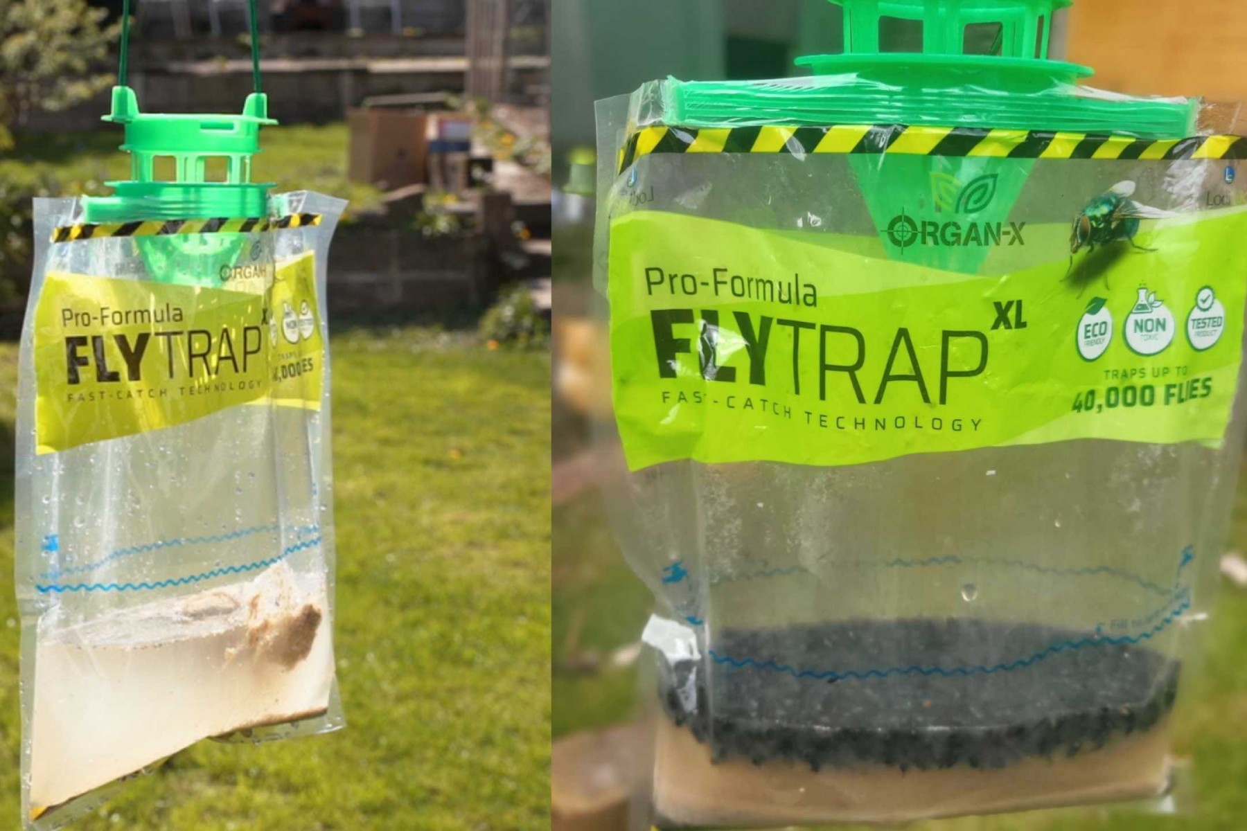 Flybag trap for fly control