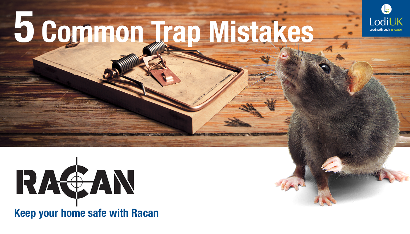 What is the Best Bait to use for Mouse Traps?