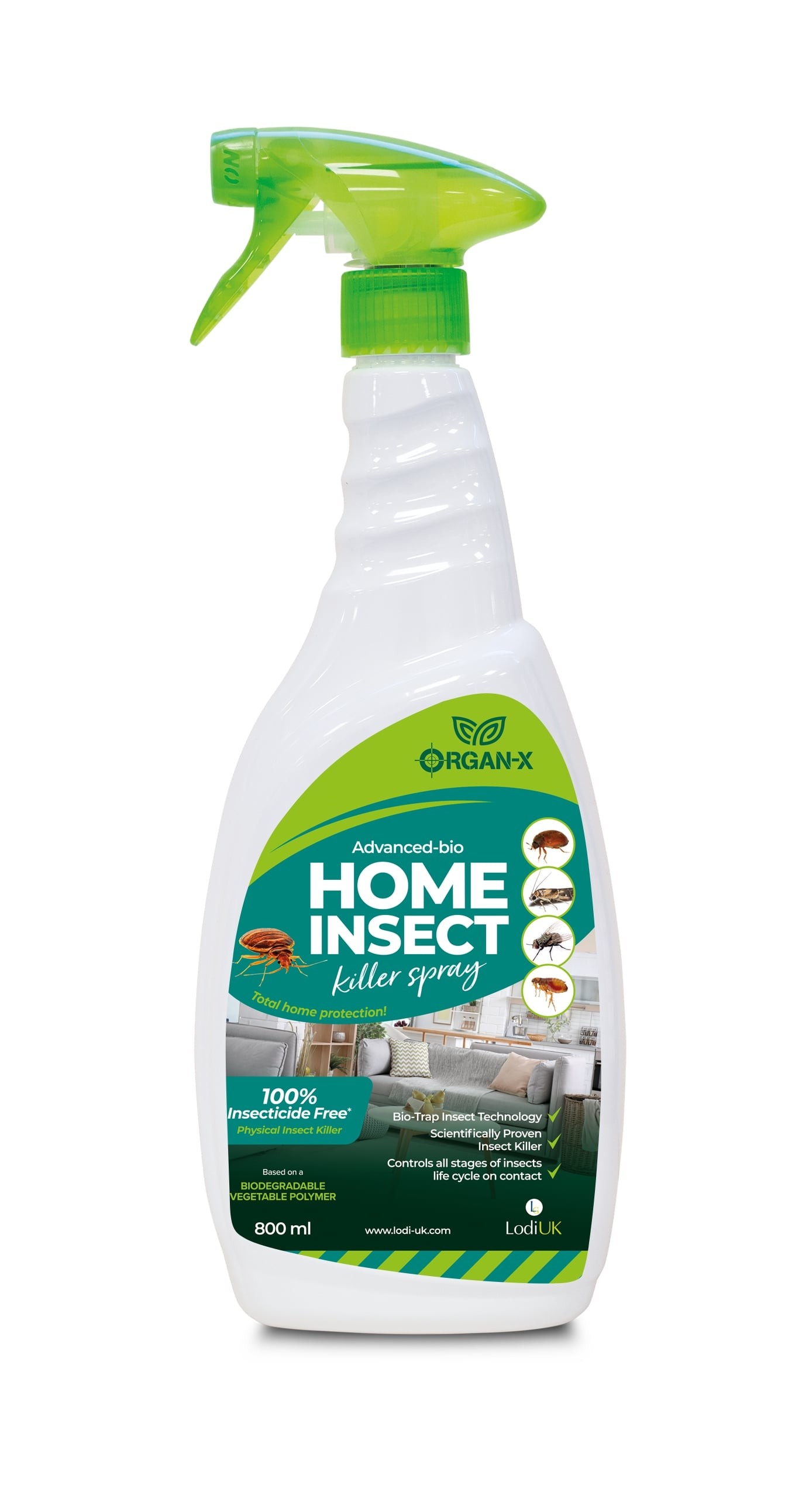 Fly control home spray