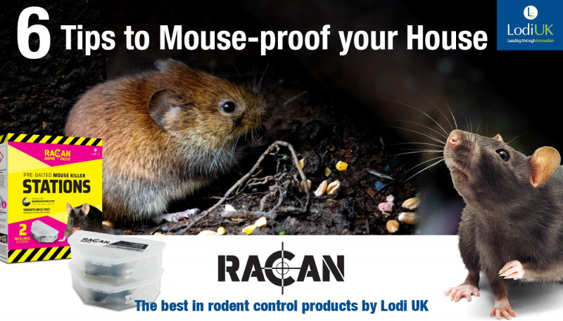 6 Tips To Mouse Proof Your House