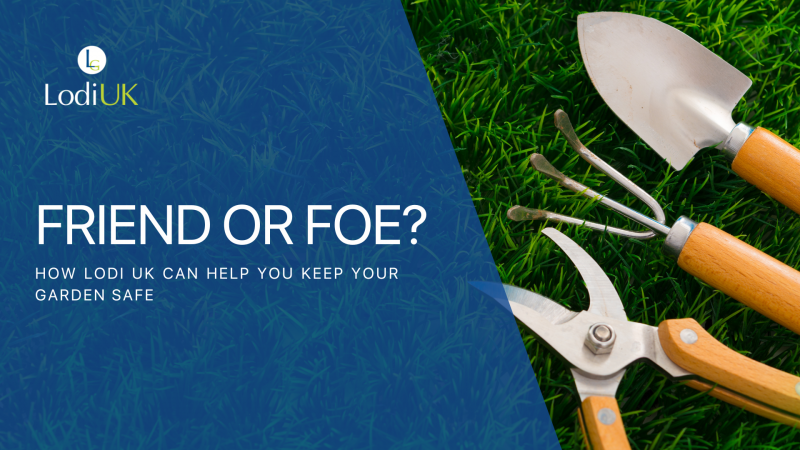 Friend or Foe? Pest Control in Your Garden