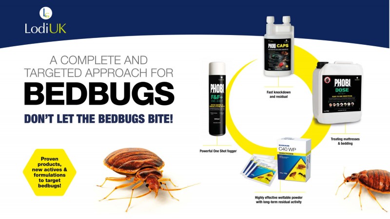 Don't let the BED BUGS bite!