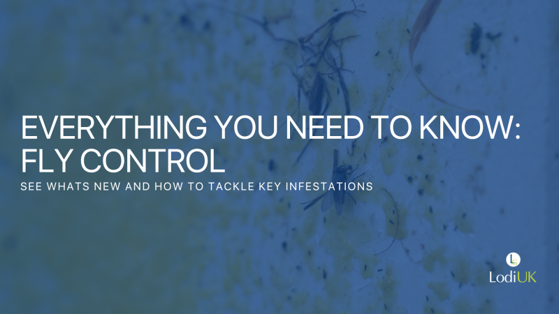 Fly Control: Smarter Strategies, Faster Knockdowns and Long-Term Results