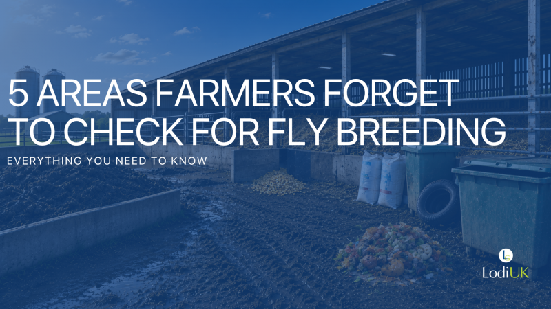 Five Areas Farmers Forget to Check for Fly Breeding