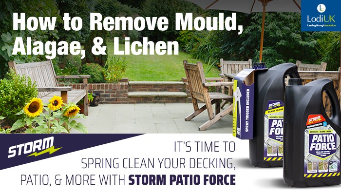 How to Remove Mould, Algae and Lichen 