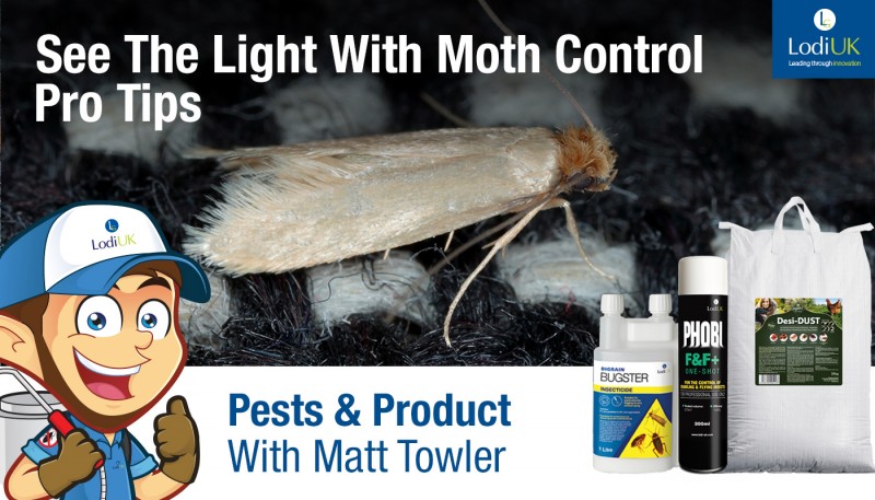 Treating Textile Moths - Matt Towler