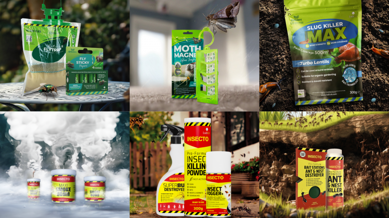 May Pest Predictions: What to Look Out For In Your Garden and Home