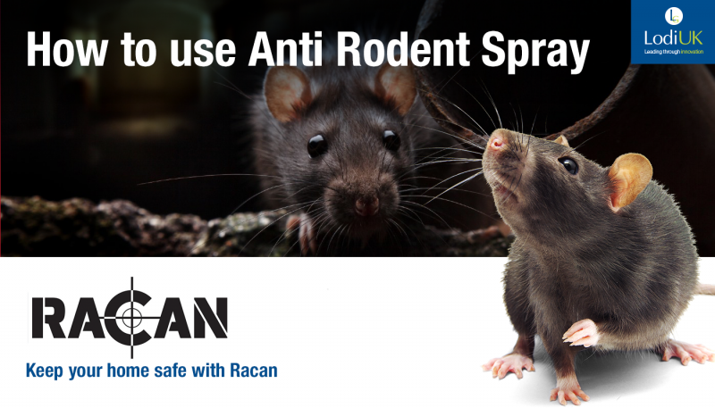 How to use Anti Rodent Spray