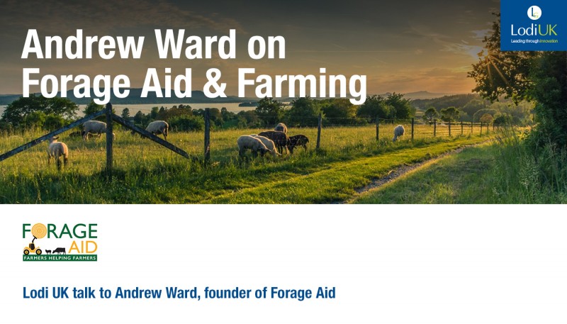 Interview with Forage Aid Founder Andrew Ward