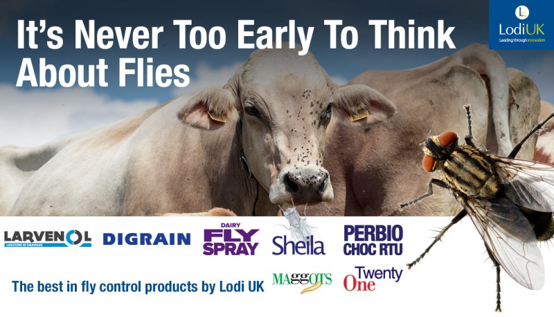 Now Is the Perfect Time to Start Fly Control On Farm!