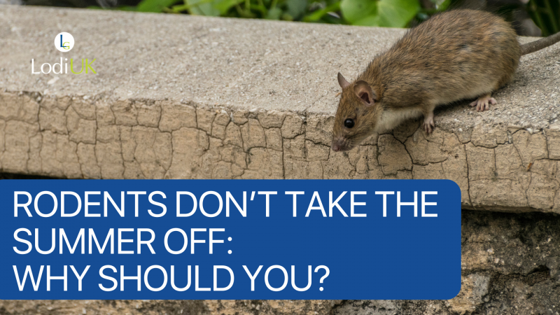 Rodents Don’t Take the Summer Off, So Why Should You?