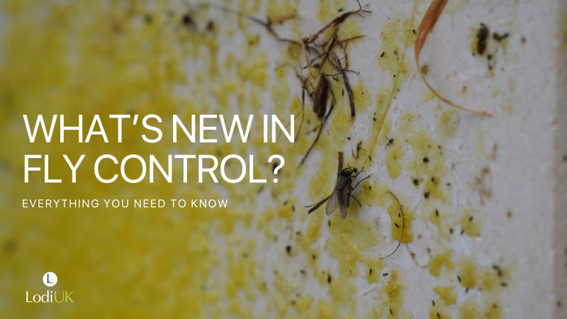 Fly Control in 2025: Why It’s Time to Get Smarter, Sharper, and More Strategic