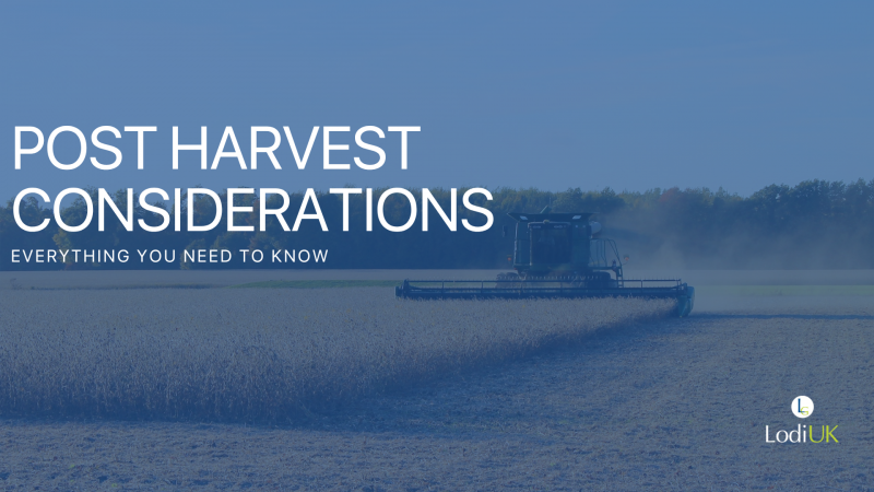 Post-Harvest Pest Control: Protecting Grain, Stores and the Next Crop