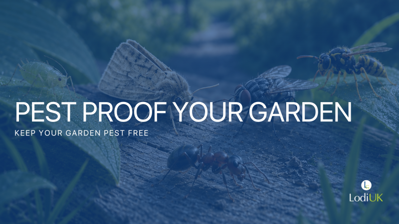 Less buzzing, more BBQs: How to pest-proof your garden this summer