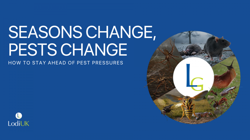 Spring Pest Control: What to expect as seasons change and how to stay ahead