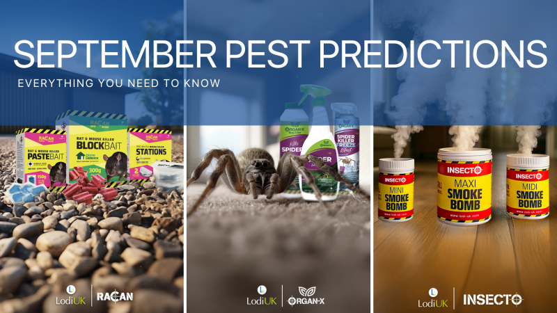 September Pest Predictions: What to Watch Out For This Autumn