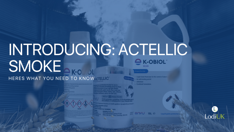 Professional Grain Store Insect Control with Actellic Smoke