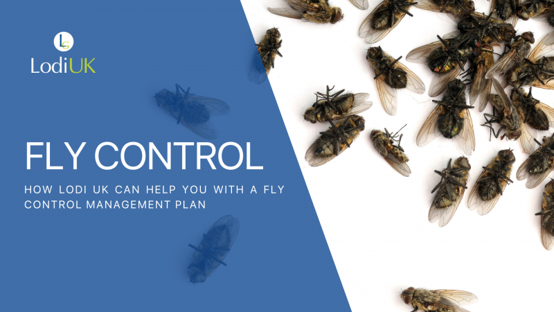 How Lodi Can Support Your Fly Management Plans