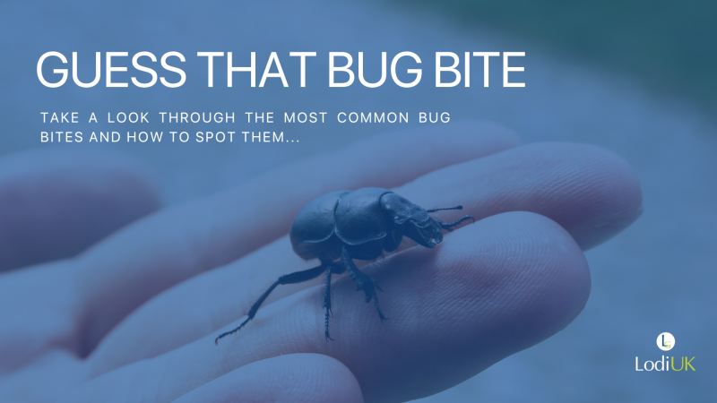 Guess That Bug Bite: Spotting the Culprit and Stopping It for Good