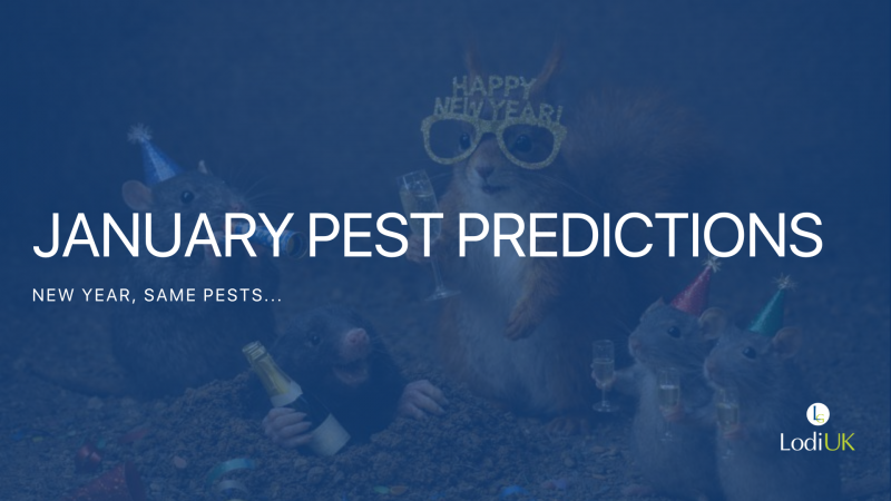January Pest Predictions: New Year. New You. Same Pests.