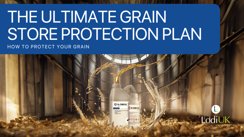 Reaping The Rewards: The Ultimate Grain Store Protection Plan