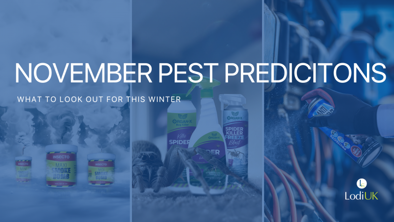 November Pest Predictions: What’s Lurking Indoors This Month