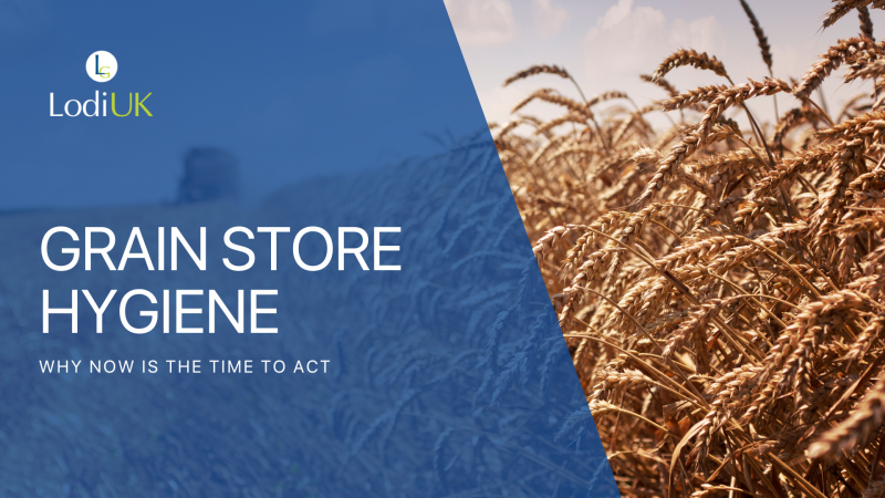 Grain Store Hygiene: Why Now Is the Time to Act