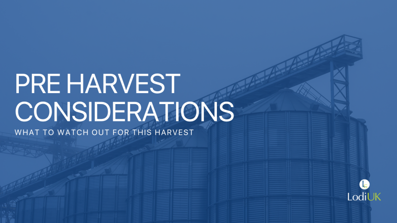 Early Grain Store Preparation for Harvest 2026: High pest pressures predicted 