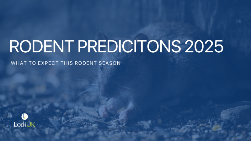 Rodent Predictions: What to Expect and How to Stay Ahead