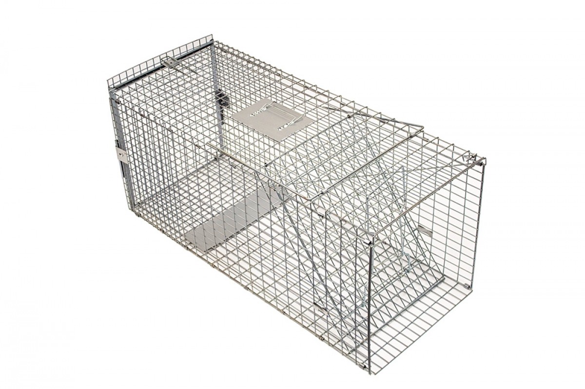 Racan Fox Trap