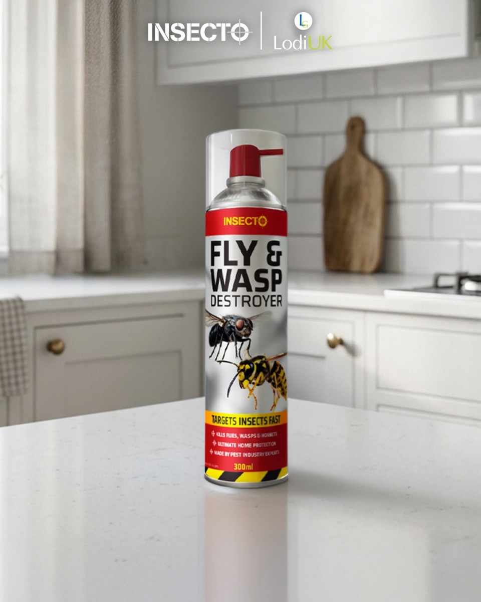 Insecto Fly & Wasp Destroyer 300ml