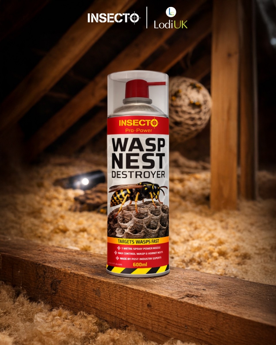 Insecto Wasp Nest Destroyer 600ml