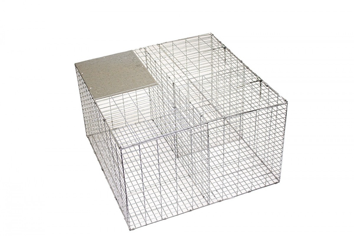 Racan Larson Trap