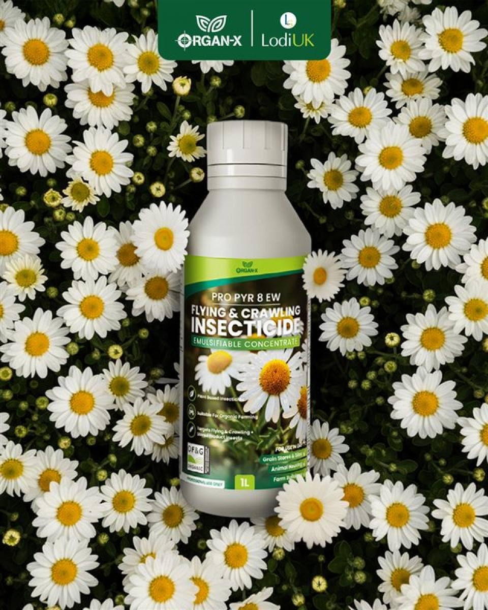 Organ-X Pro PYR 8 EW