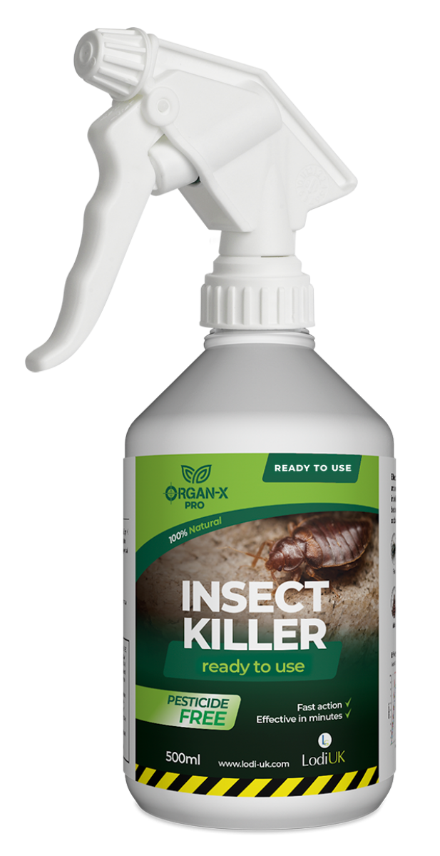 Organ-X Pro Insect Killer RTU