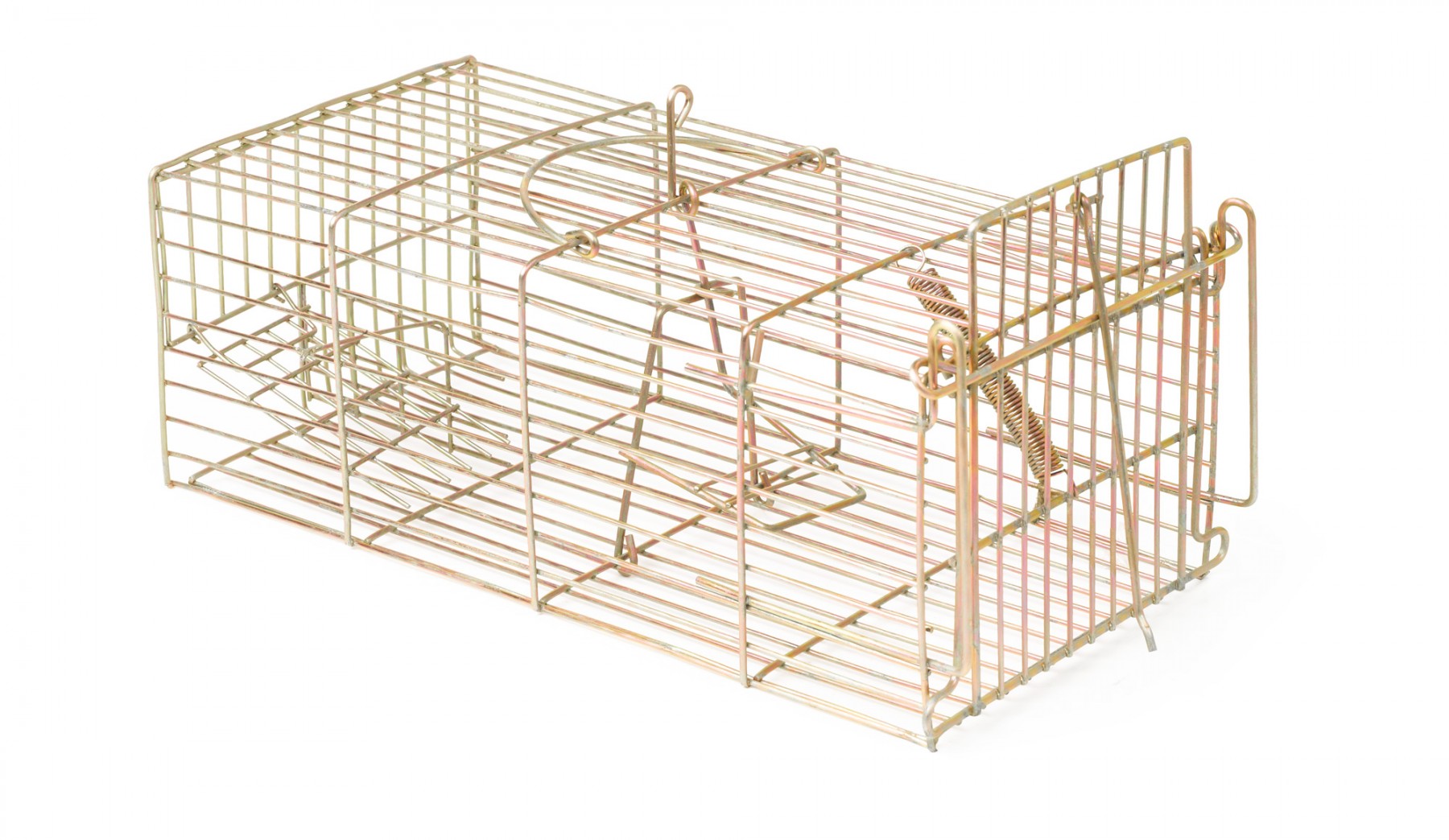 Racan Rat Trap Humane