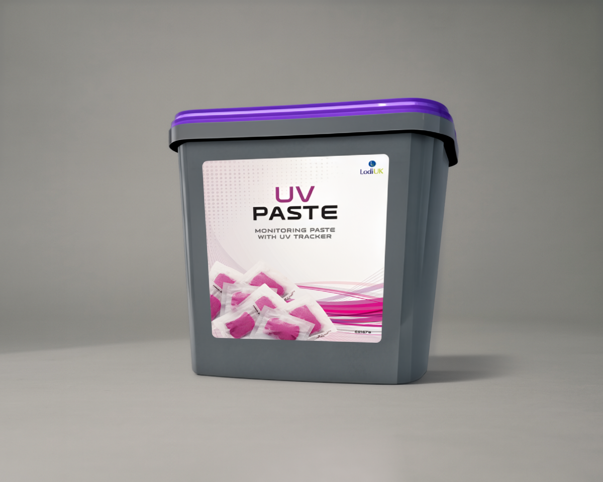 UV Paste
