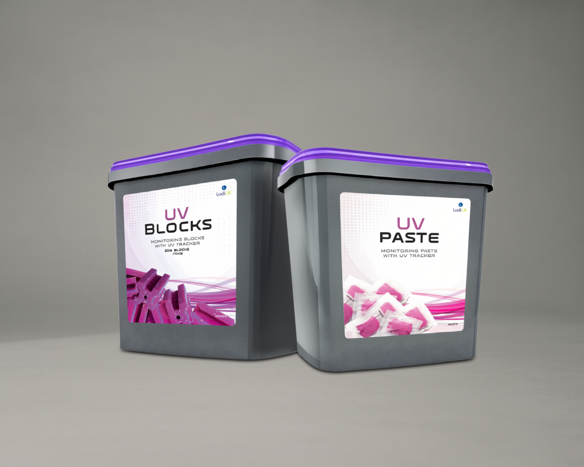 UV Paste