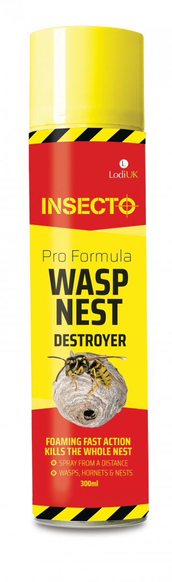 Insecto Pro Formula Wasp Nest Destroyer Foam 300ml