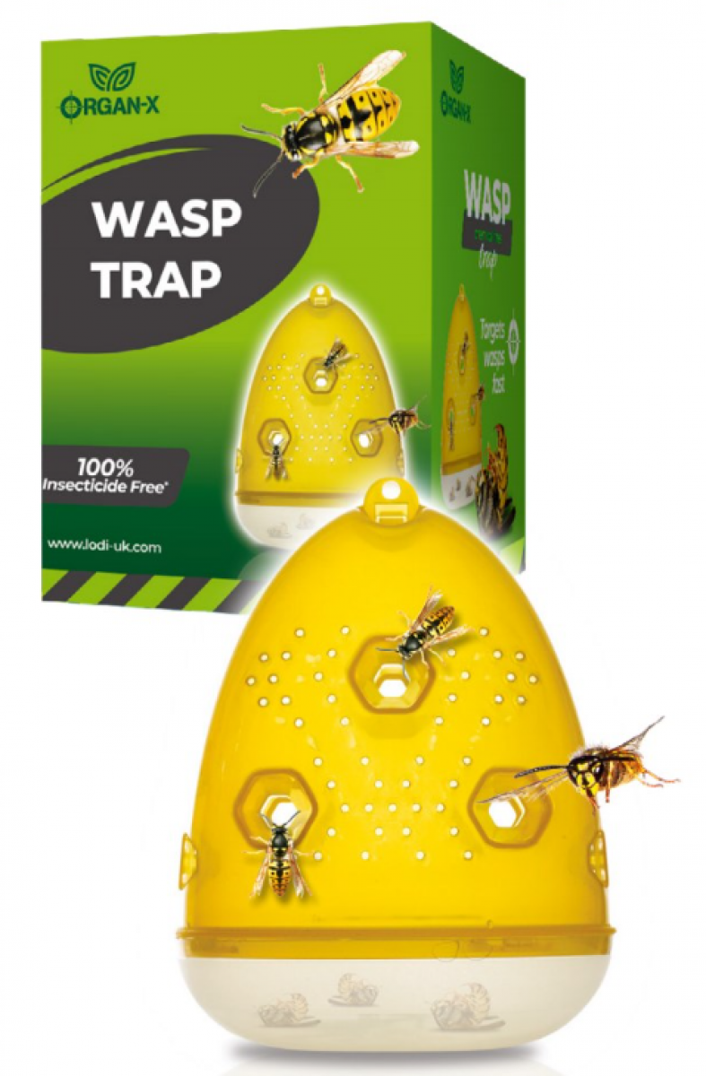 Organ-X Wasp Trap